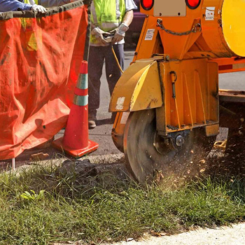 Maltba Tree Care